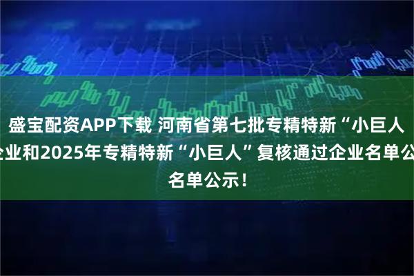 盛宝配资APP下载 河南省第七批专精特新“小巨人”企业和2025年专精特新“小巨人”复核通过企业名单公示！